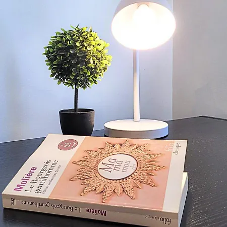 Le Gentil 'home - Hypercentre - Proche Cathedrale *